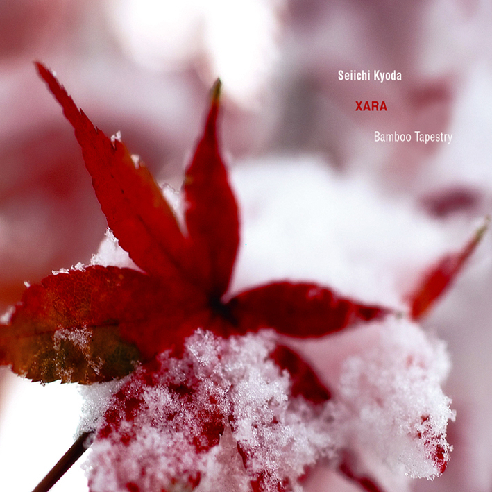 【拼团】Snowflakes伴奏